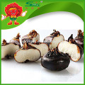 New crop Chinese water chestnut